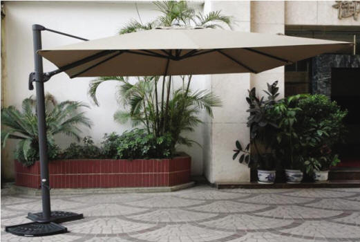 parasol